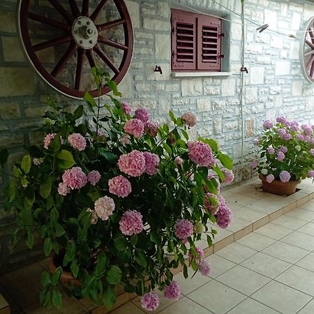 Apartman Sunce อูมัค ภายนอก รูปภาพ