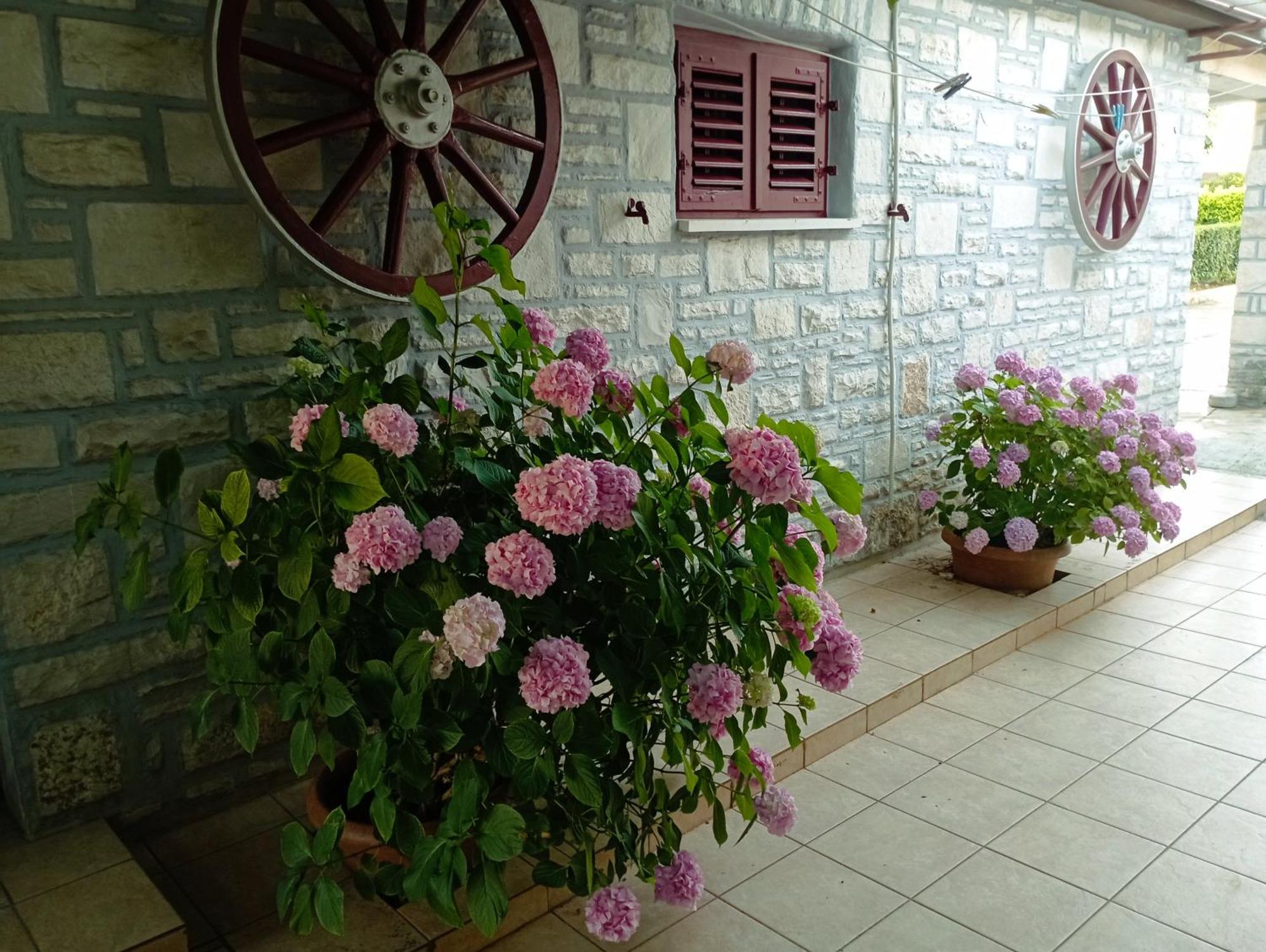 Apartman Sunce อูมัค ภายนอก รูปภาพ
